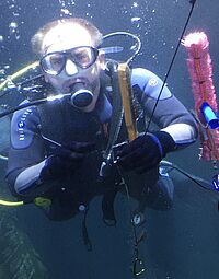 Großaquarium Reinigung