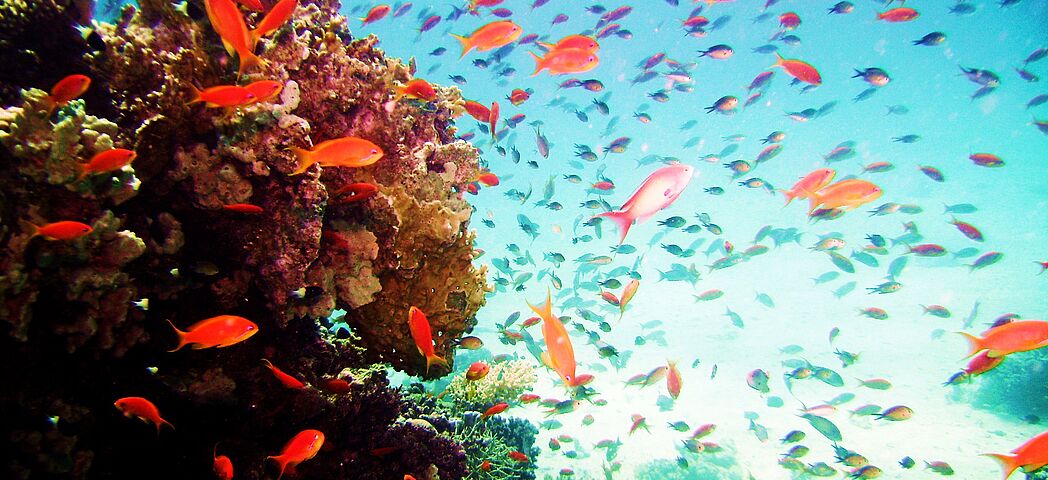Jobs offene Stellen bei Aquarium Logistik Raasch