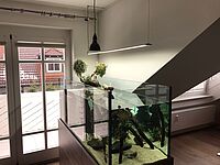 Offenes Aqua Terrarium