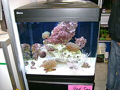 Olching: Professionelle Aquarium Wartung Instandhaltung Reinigung