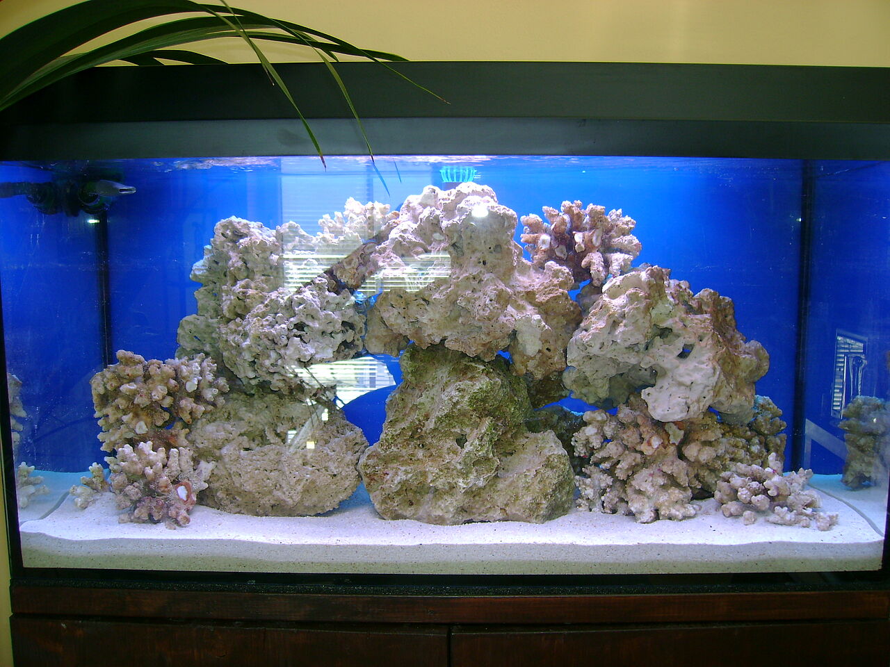 Aquarium Wartung