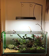 Wartung Ihrer Aquarien