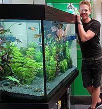 Professioneller Aquarium Service