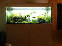 Aqua Scape Groß