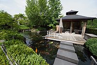 Teich im japanischen Stil