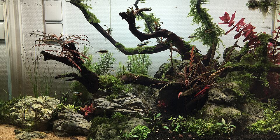 Aquarium Wartung München