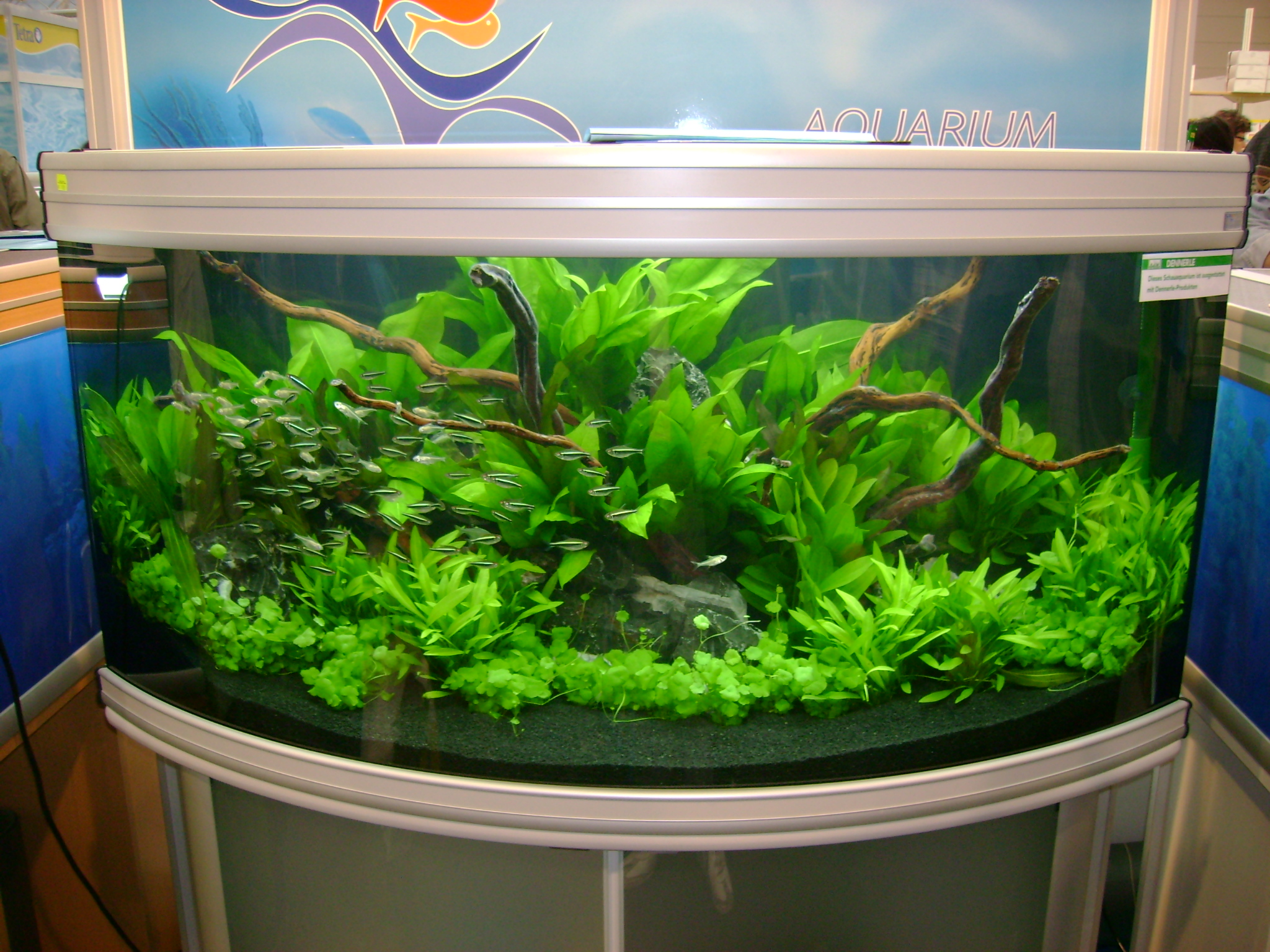 Süßwasser Aquarien