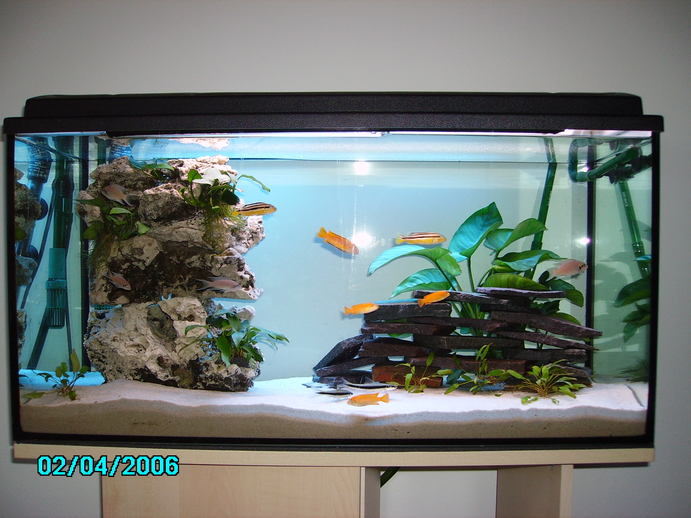 Süßwasser Aquarien